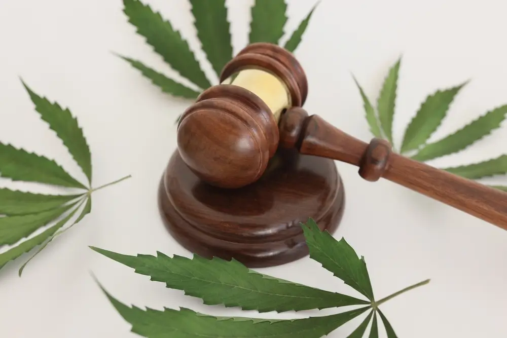 Is CBD Legal in South Carolina